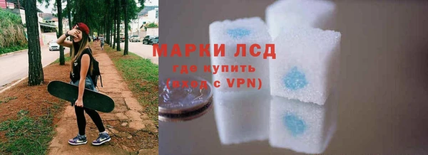 стафф Апатиты