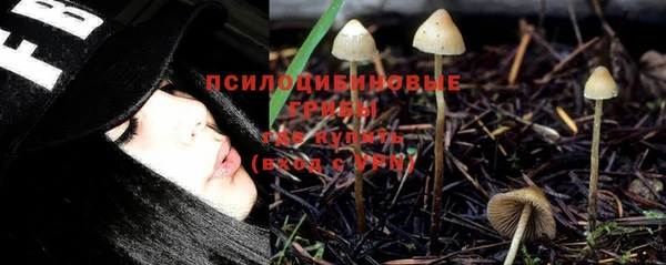метадон Медногорск