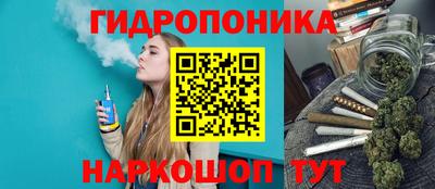 СК Краснознаменск