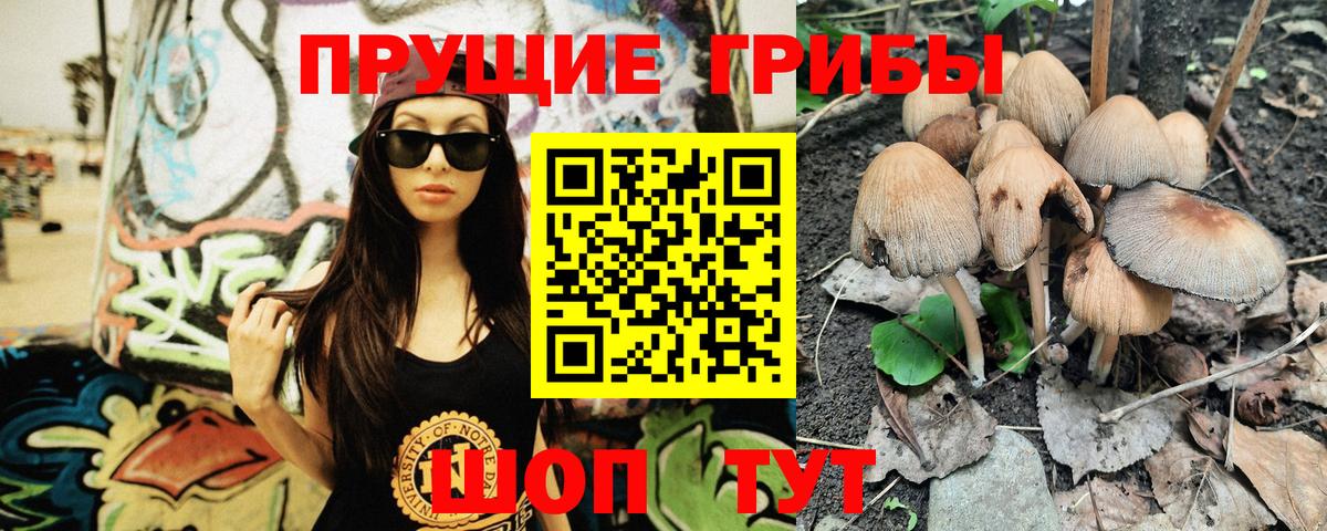наркотики  Вход с VPN  Галлюциногенные грибы Magic Shrooms  Тихвин  Псилоцибиновые грибы Psilocybine cubensis 